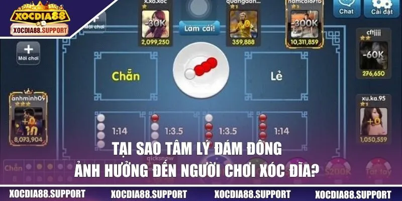Tại sao tâm lý đám đông ảnh hưởng người chơi xóc đĩa?